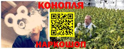 прущие грибы Кингисепп