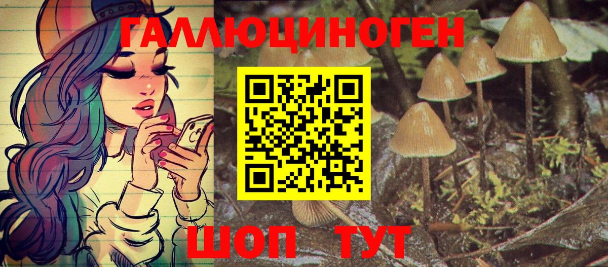 Псилоцибиновые грибы GOLDEN TEACHER  Псилоцибиновые грибы MAGIC MUSHROOMS  Чапаевск  Вход с VPN 